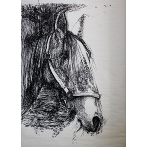 Kôň. Maľba na papieri