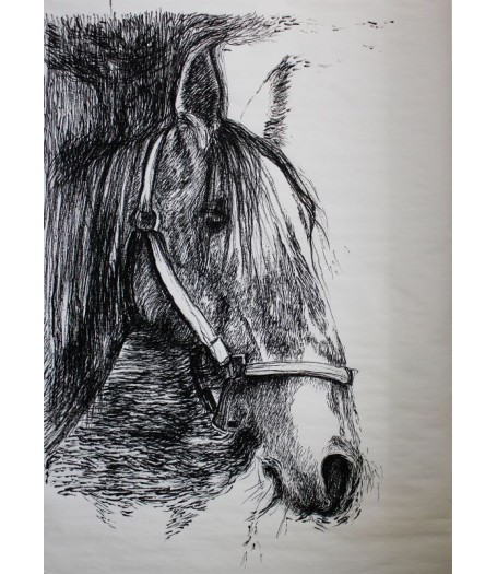Kôň. Maľba na papieri